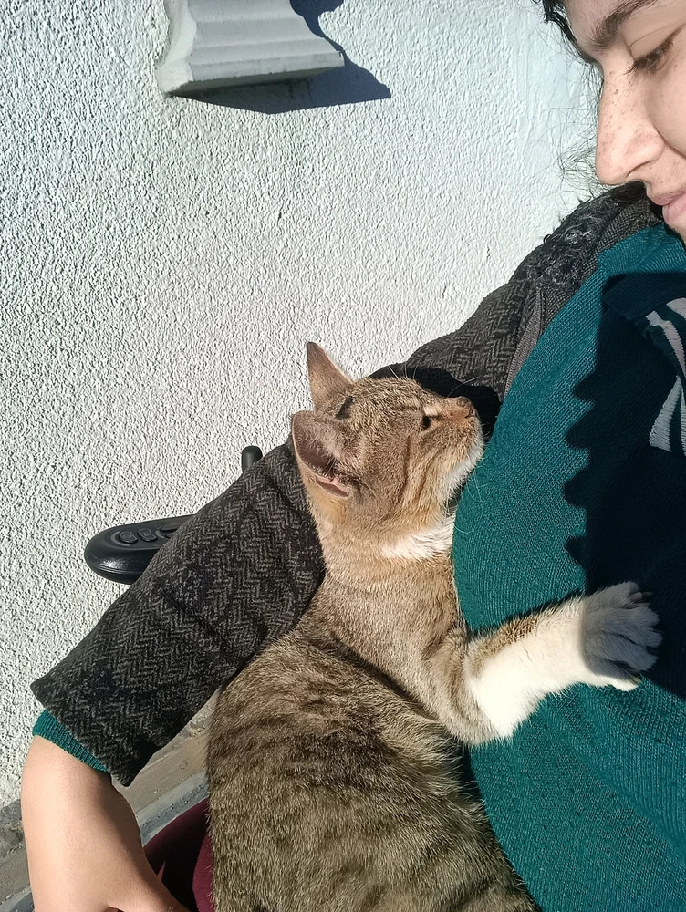 Ruken tarafından yüklenen GIF