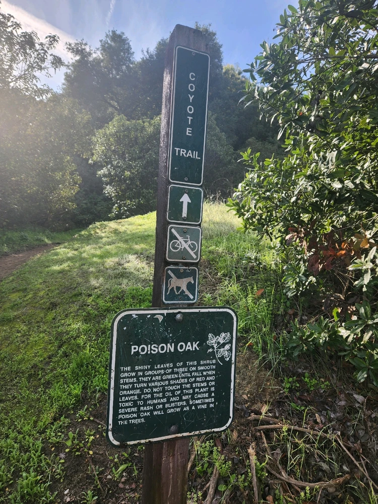 Image uploaded by Elle