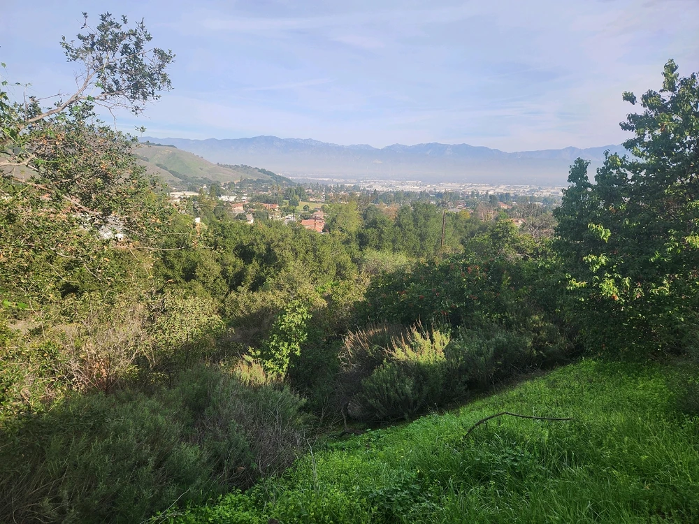 Image uploaded by Elle