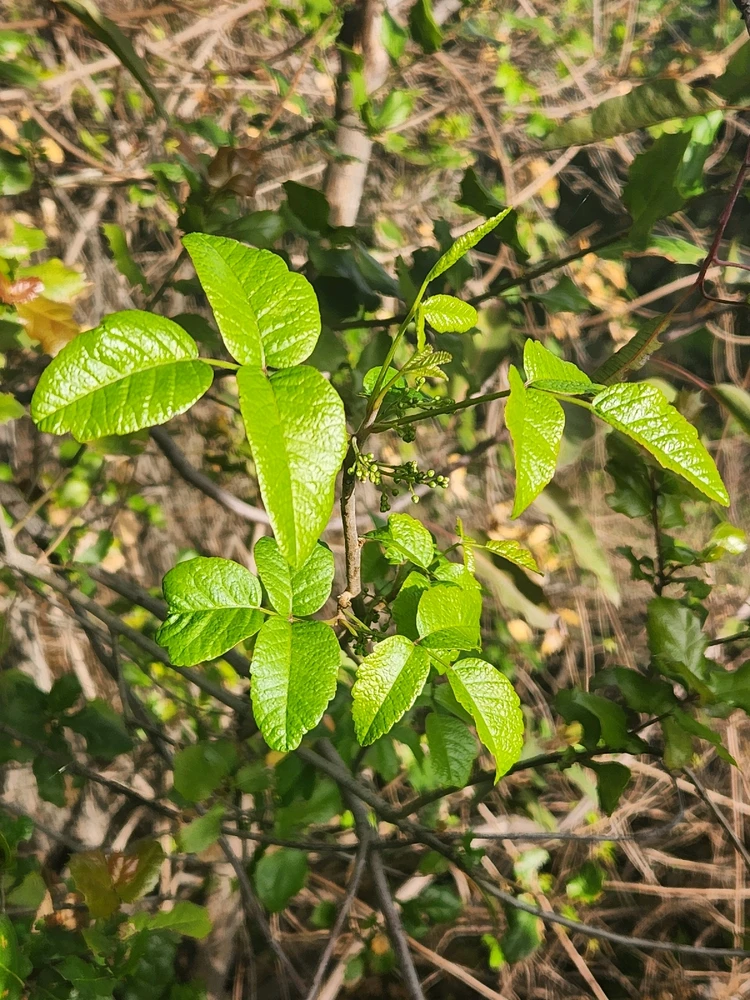 Image uploaded by Elle