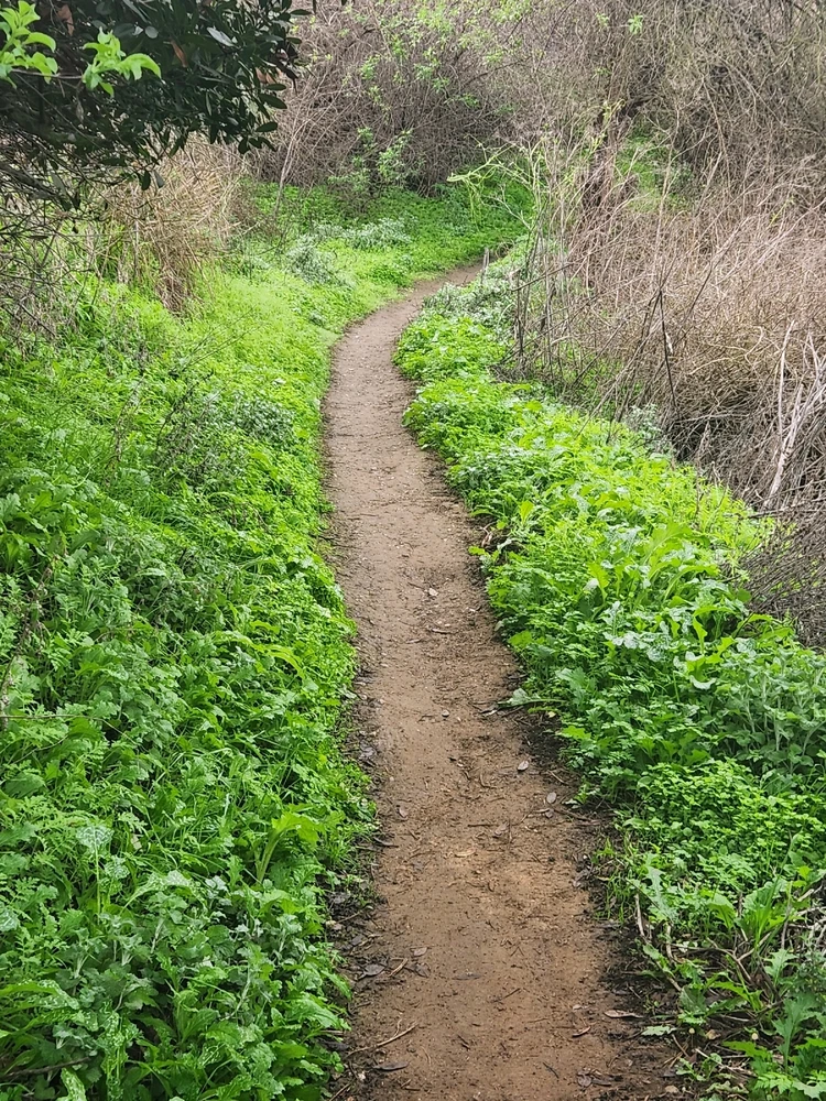 Image uploaded by Elle