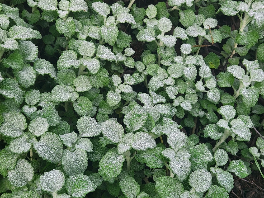 Image uploaded by Elle