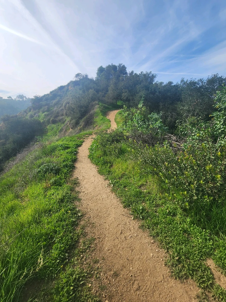 Image uploaded by Elle