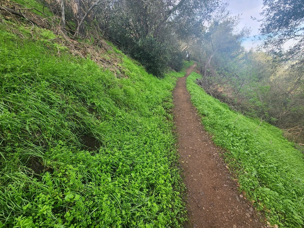 Image uploaded by Elle