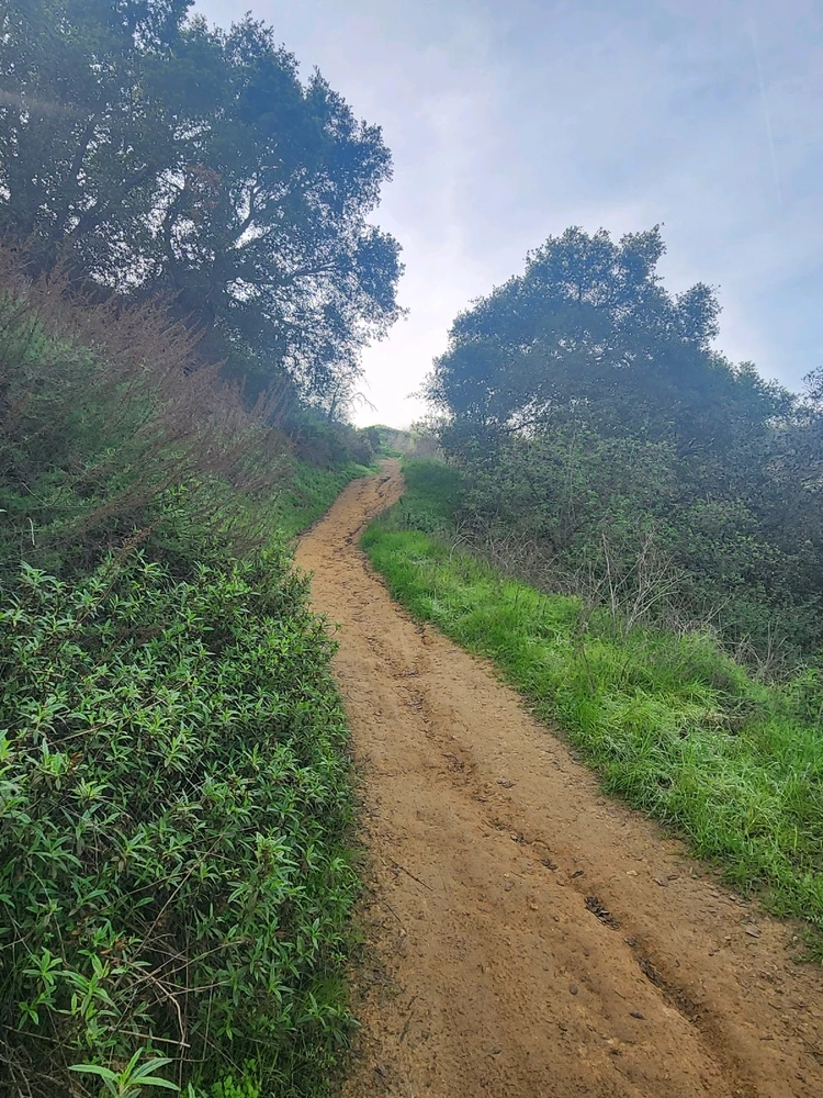 Image uploaded by Elle