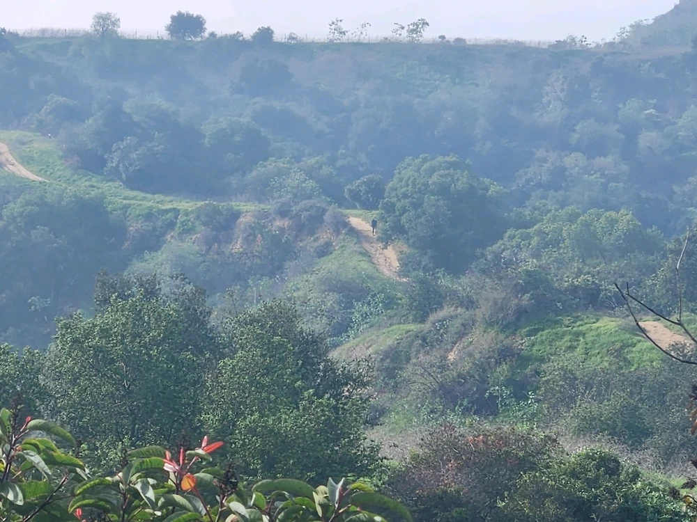 Image uploaded by Elle