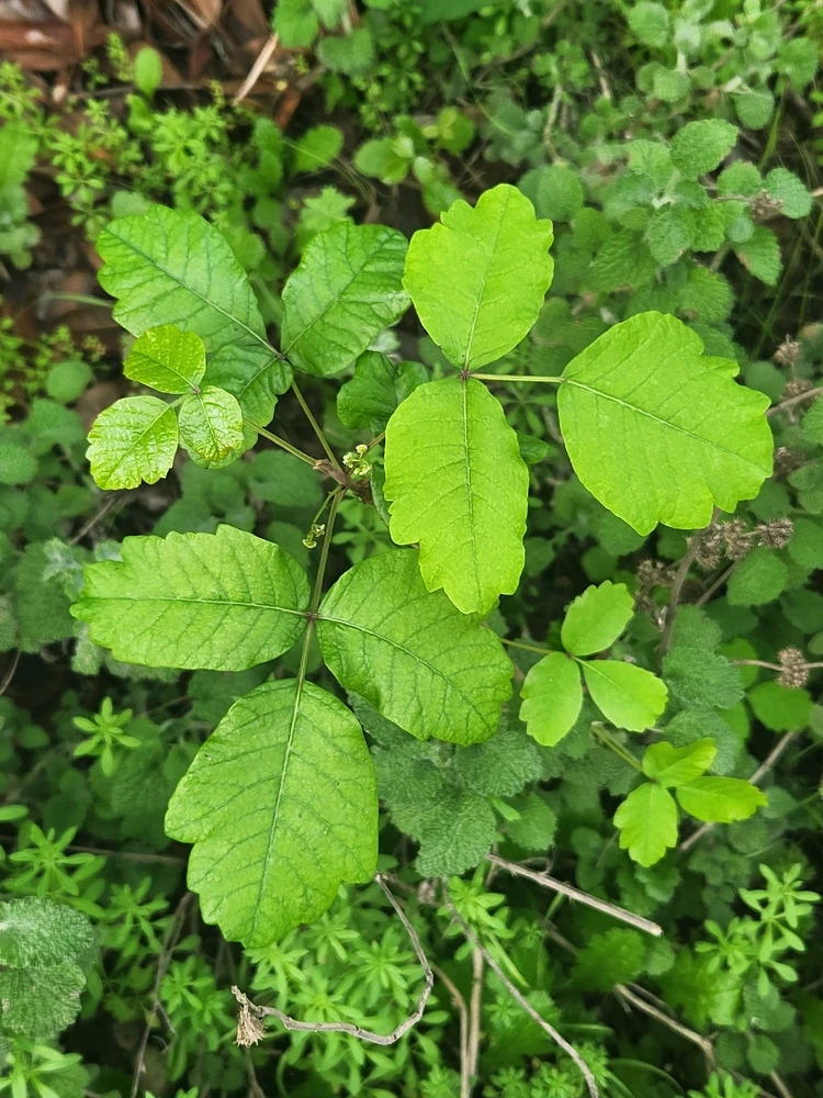 Image uploaded by Elle