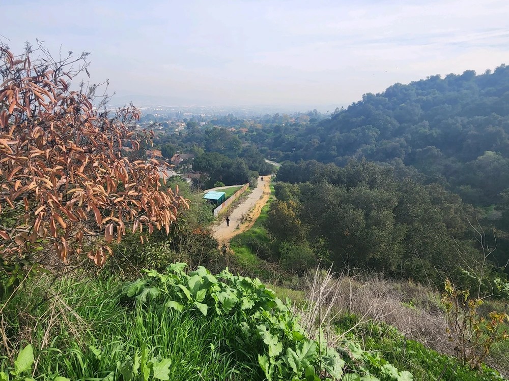 Image uploaded by Elle