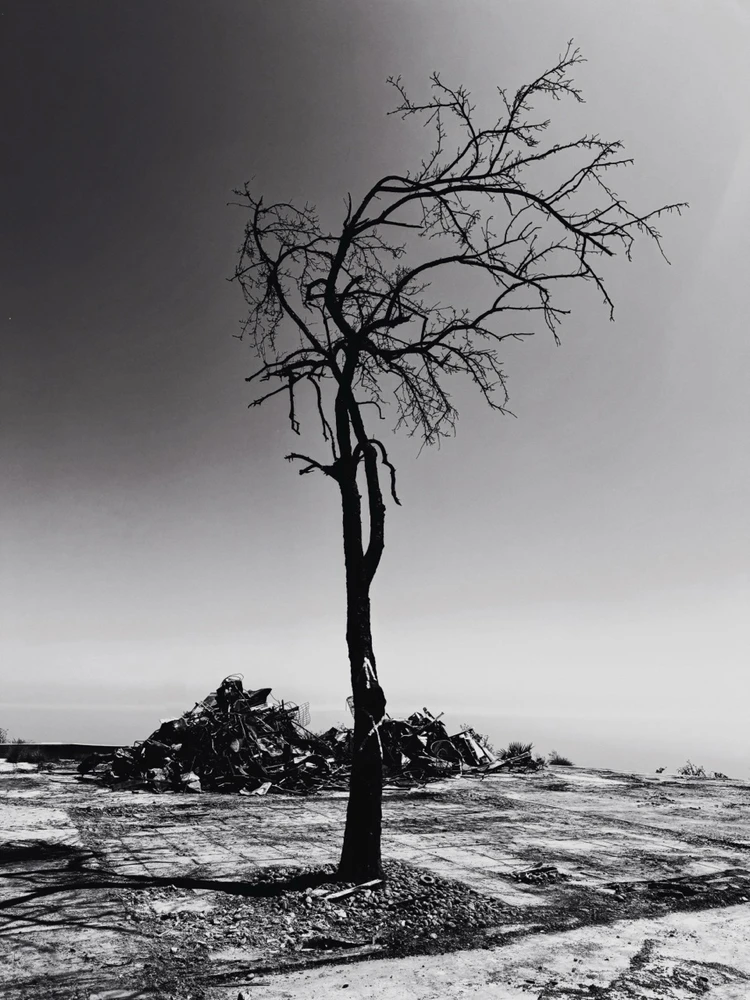 GIF uploaded by Beau