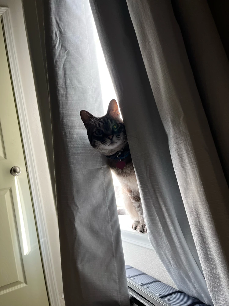 GIF uploaded by Draven