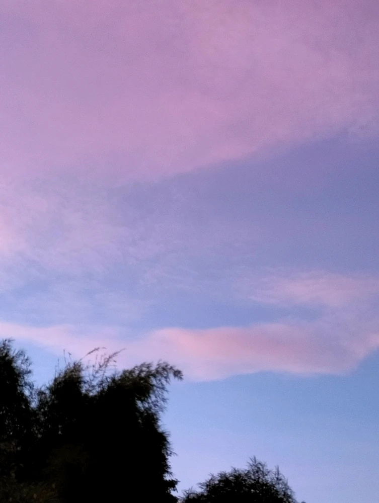 GIF uploaded by Testarosa