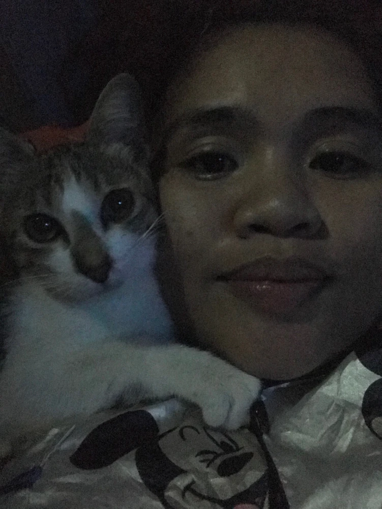 GIF uploaded by Lovely