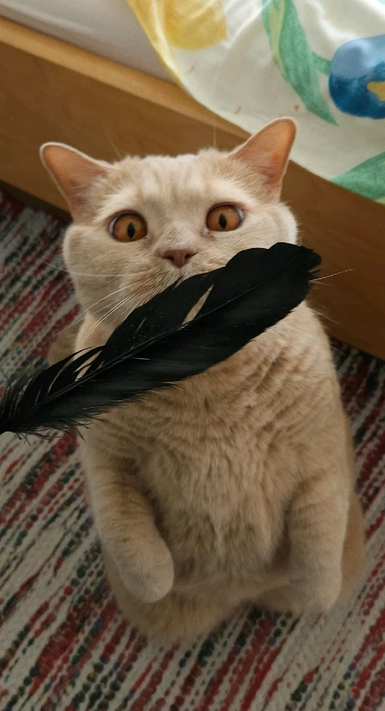 GIF uploaded by Ondřej