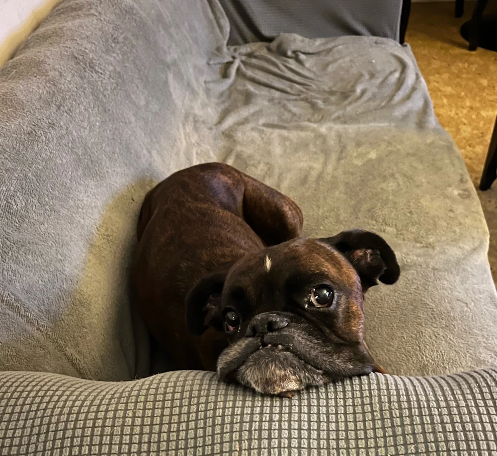 GIF ajouté par Maxine