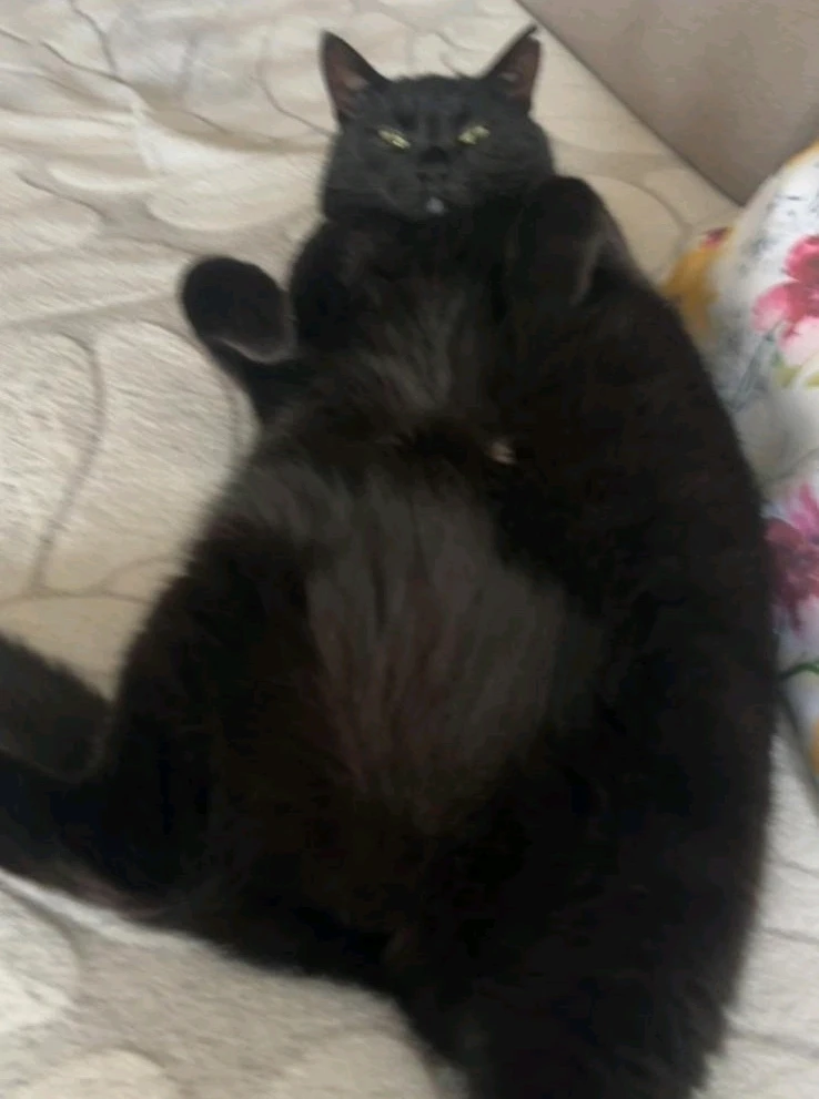 GIF dodany przez Tomasz