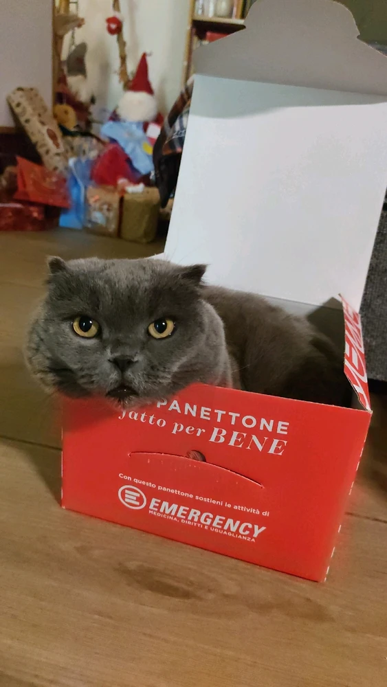 GIF caricata da Marco