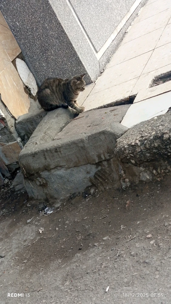 GIF uploaded by Abdelrahman