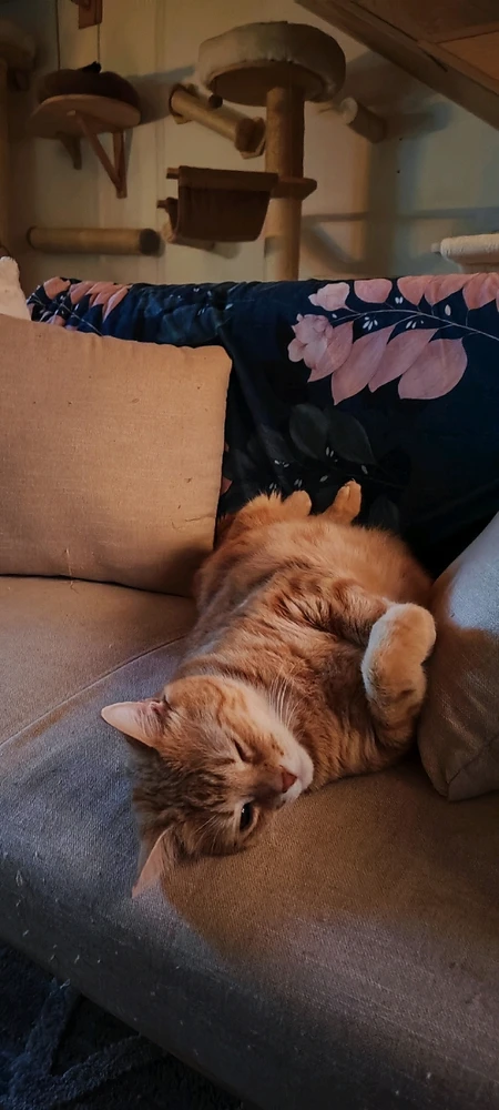 GIF hochgeladen von Steffi