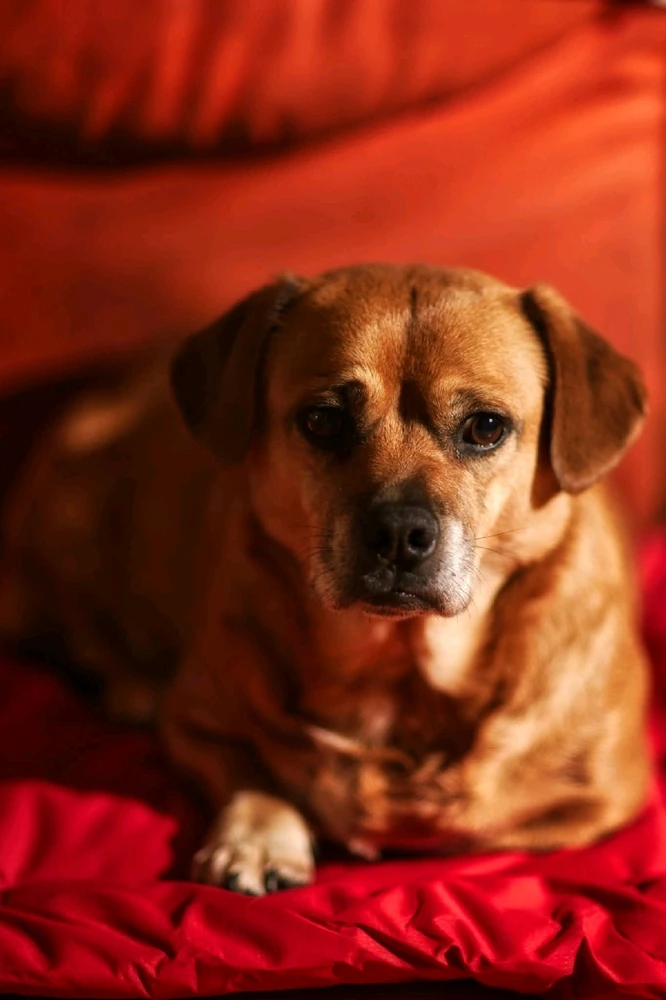 Bild hochgeladen von Goran