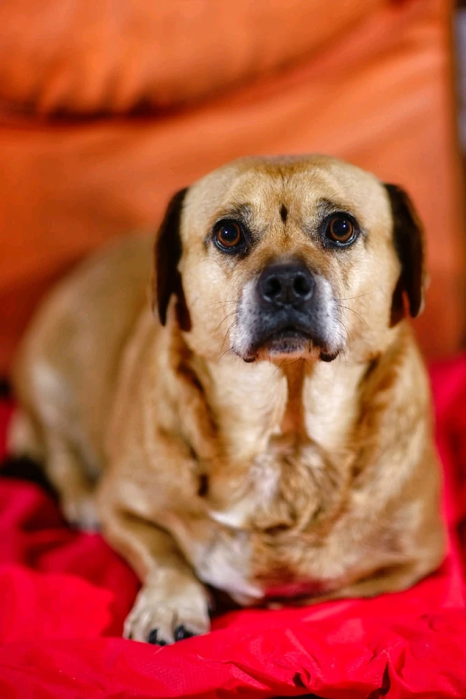 Bild hochgeladen von Goran