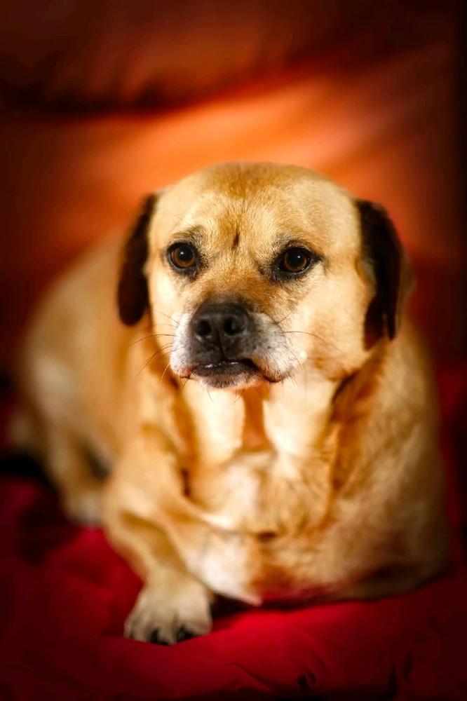 Bild hochgeladen von Goran