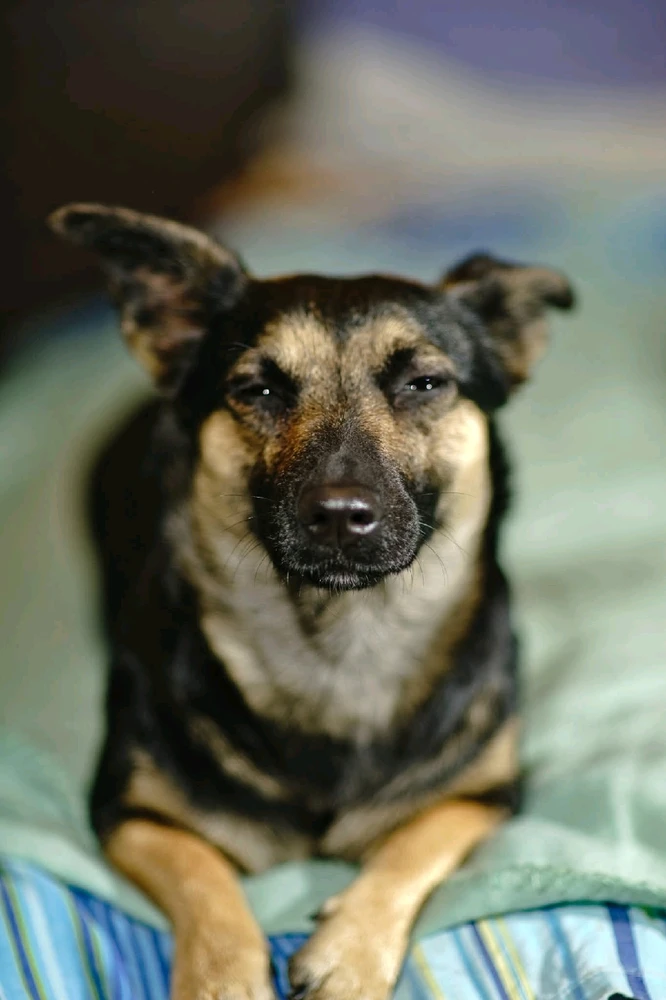 Bild hochgeladen von Goran