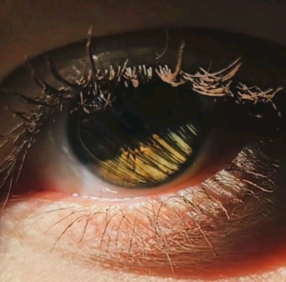 GIF uploaded by Marissa