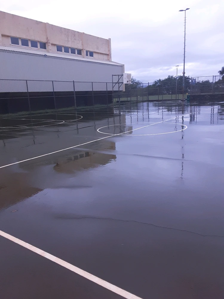 Image uploaded by Lauren