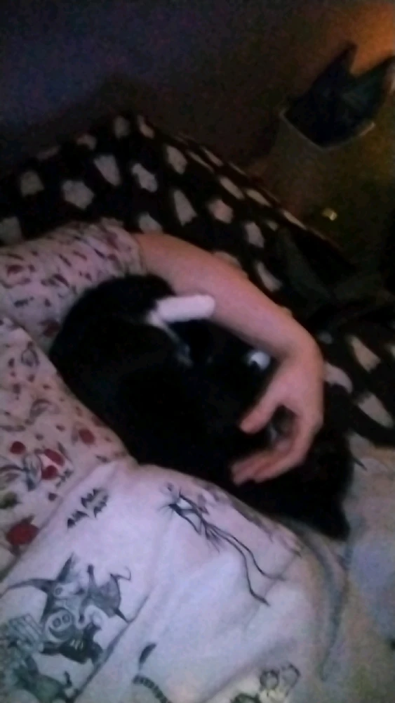 Gambar diunggah dening Blake