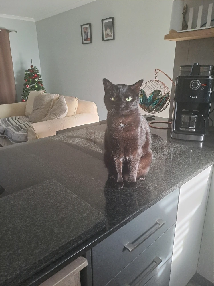 GIF uploaded by Sandz