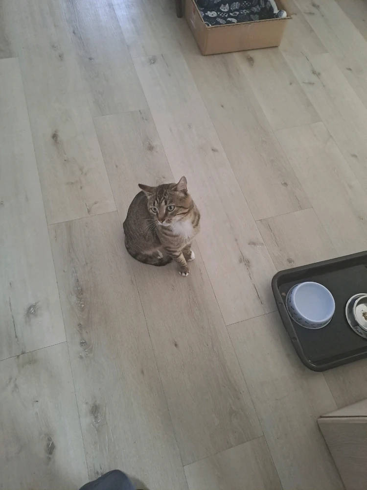 GIF uploaded by Sandz