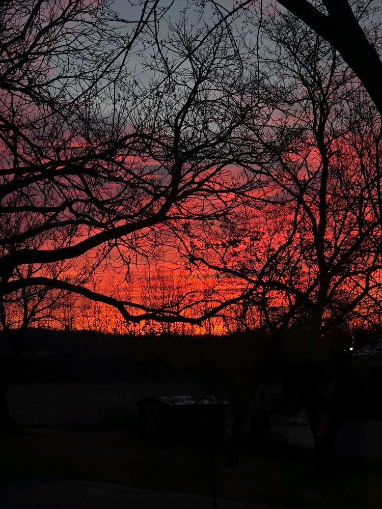 Image uploaded by Jay Hafer