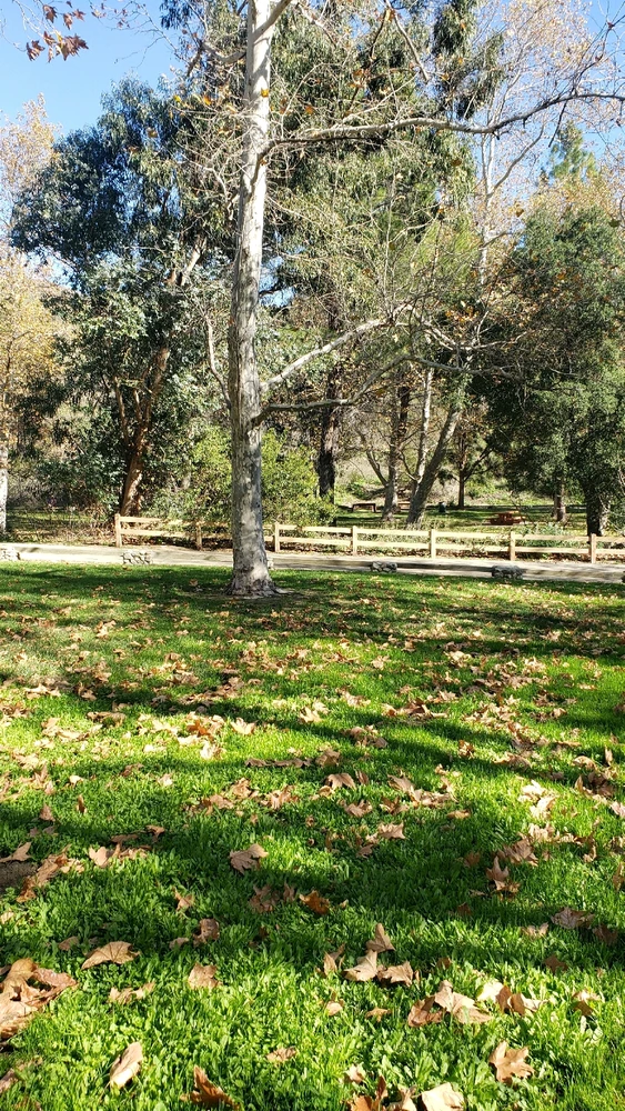 GIF uploaded by laila♡