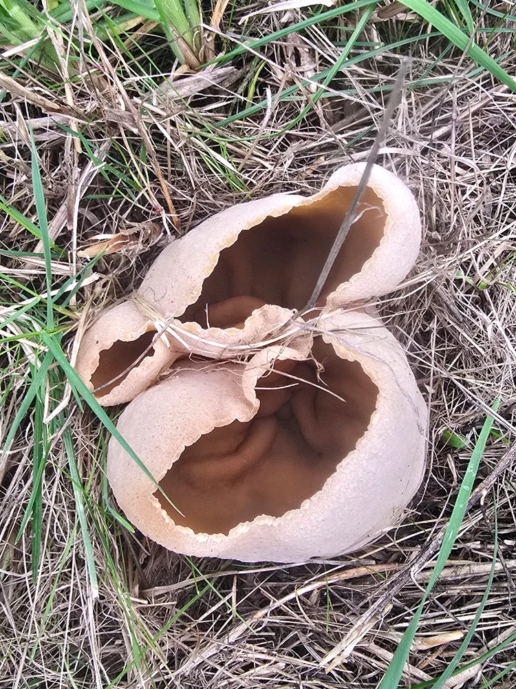 Image uploaded by William