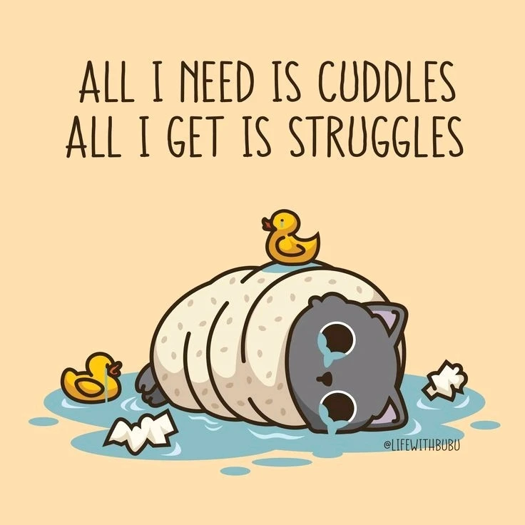 GIF uploaded by Shannon