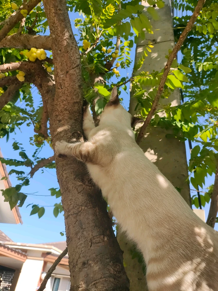 GIF uploaded by Jellyfish