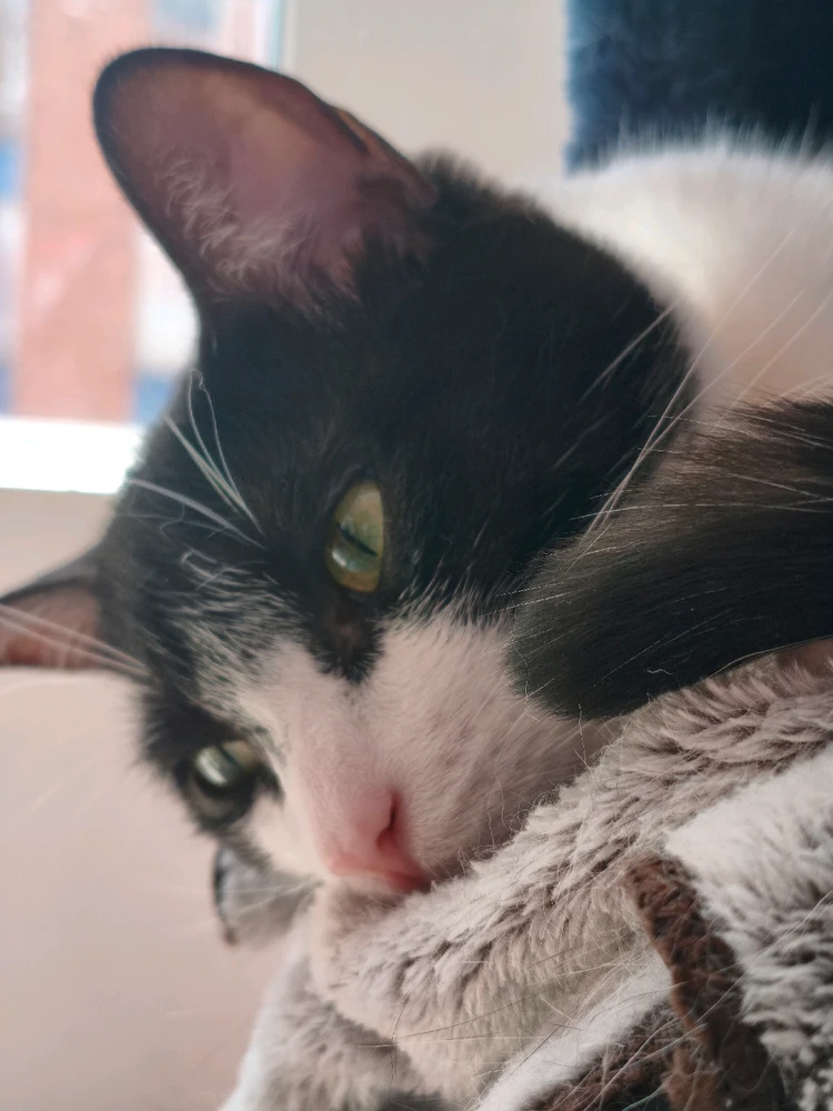 Imagen subida por Robyn