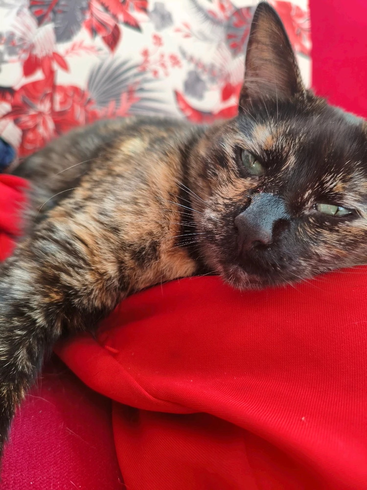 Imagen subida por Robyn