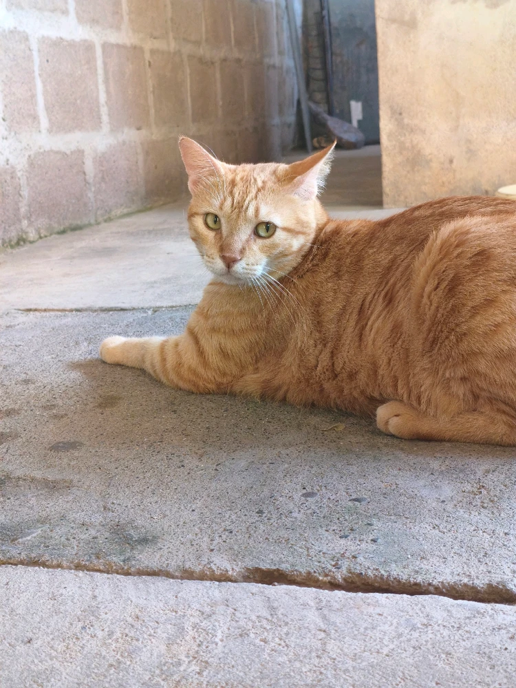 Imagen subida por Robyn