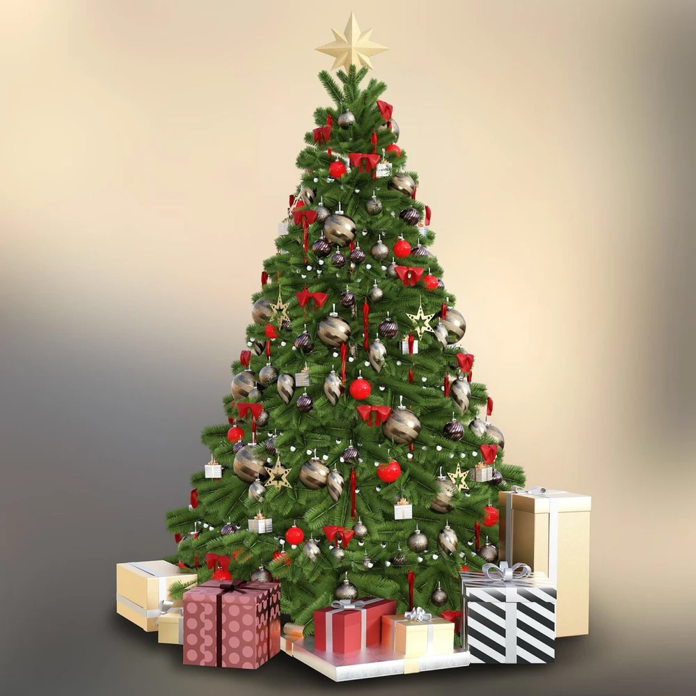 Fotku nahral/-a Peter