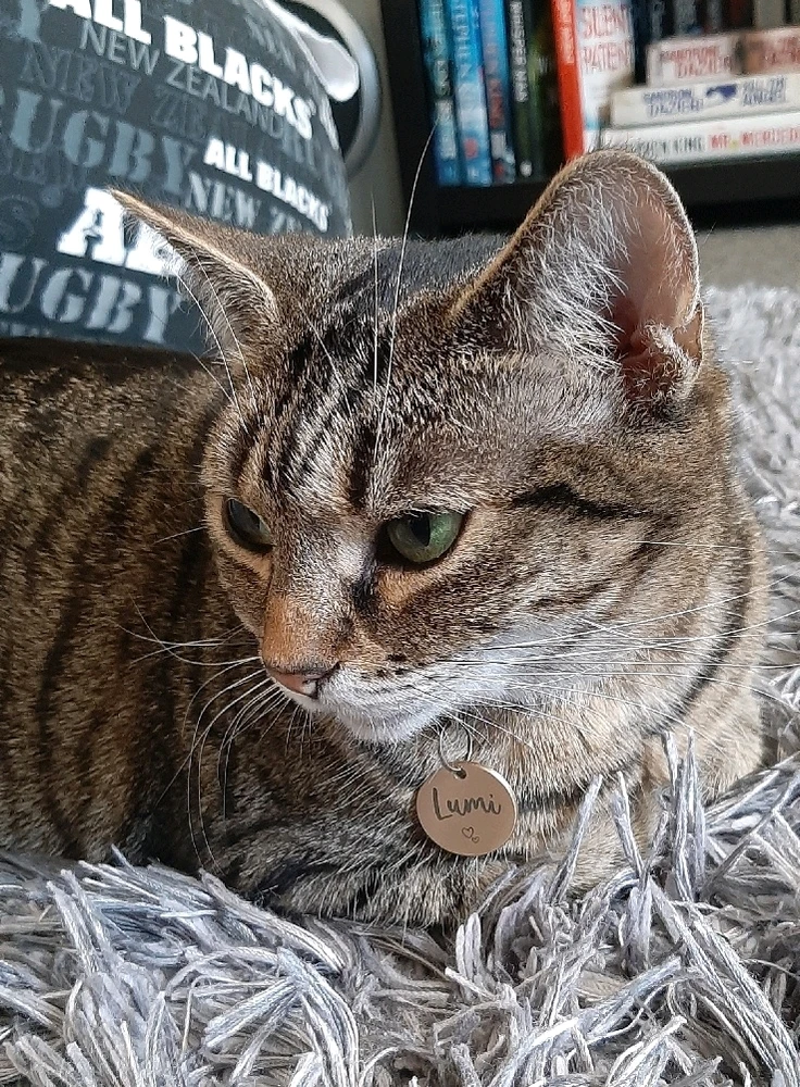 Image uploaded by Nat RB