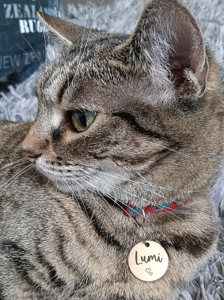 Image uploaded by Nat RB