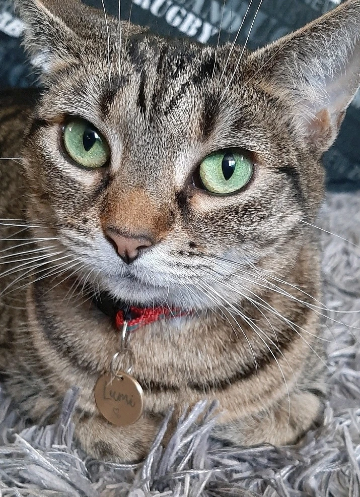 Image uploaded by Nat RB