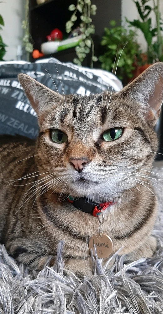 Image uploaded by Nat RB