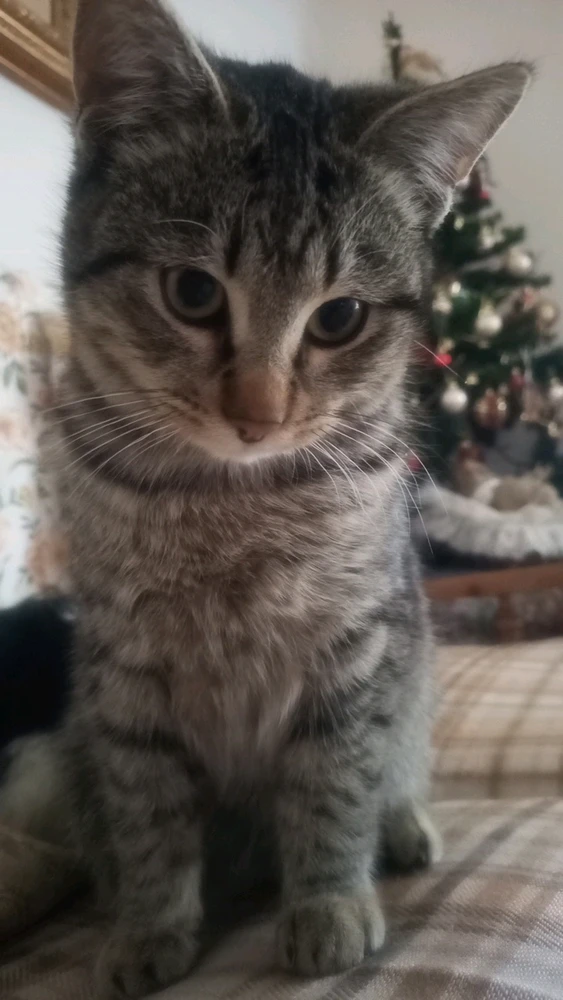 Immagine caricata da Greg