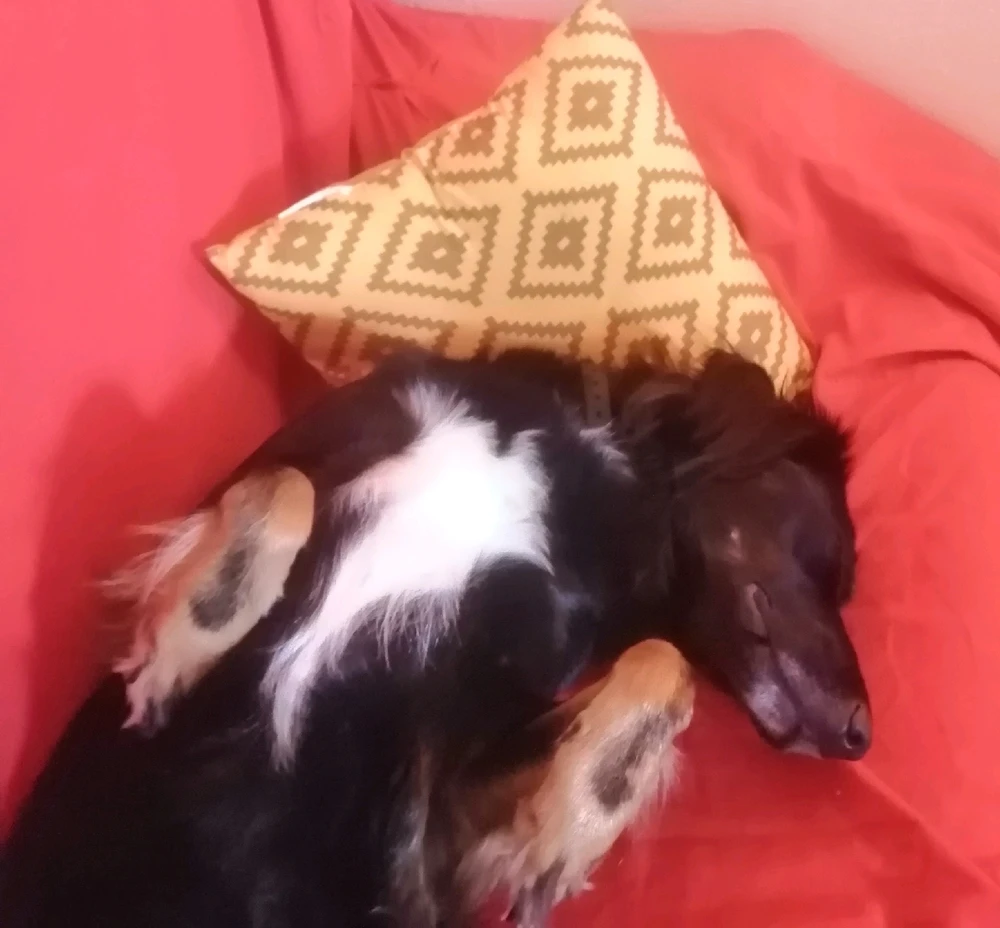 GIF ajouté par Olivier