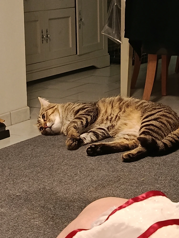 GIF ajouté par Matt