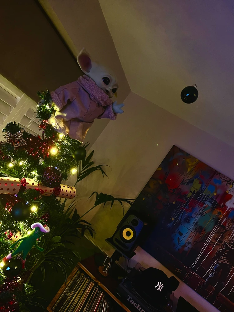 Image uploaded by Martin