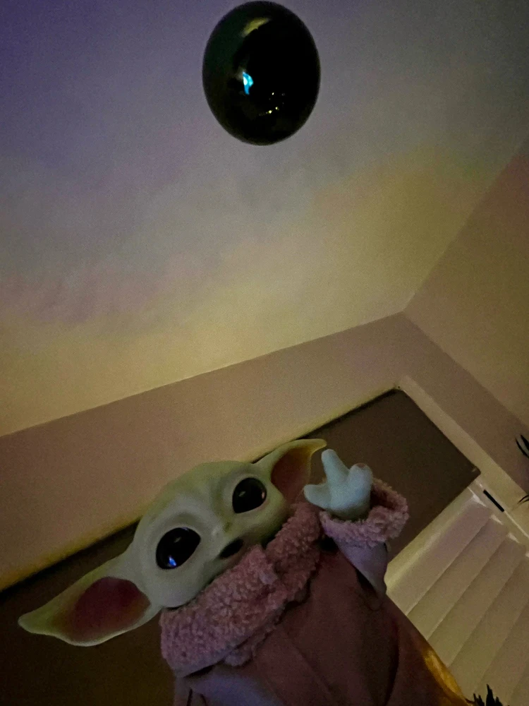 Image uploaded by Martin