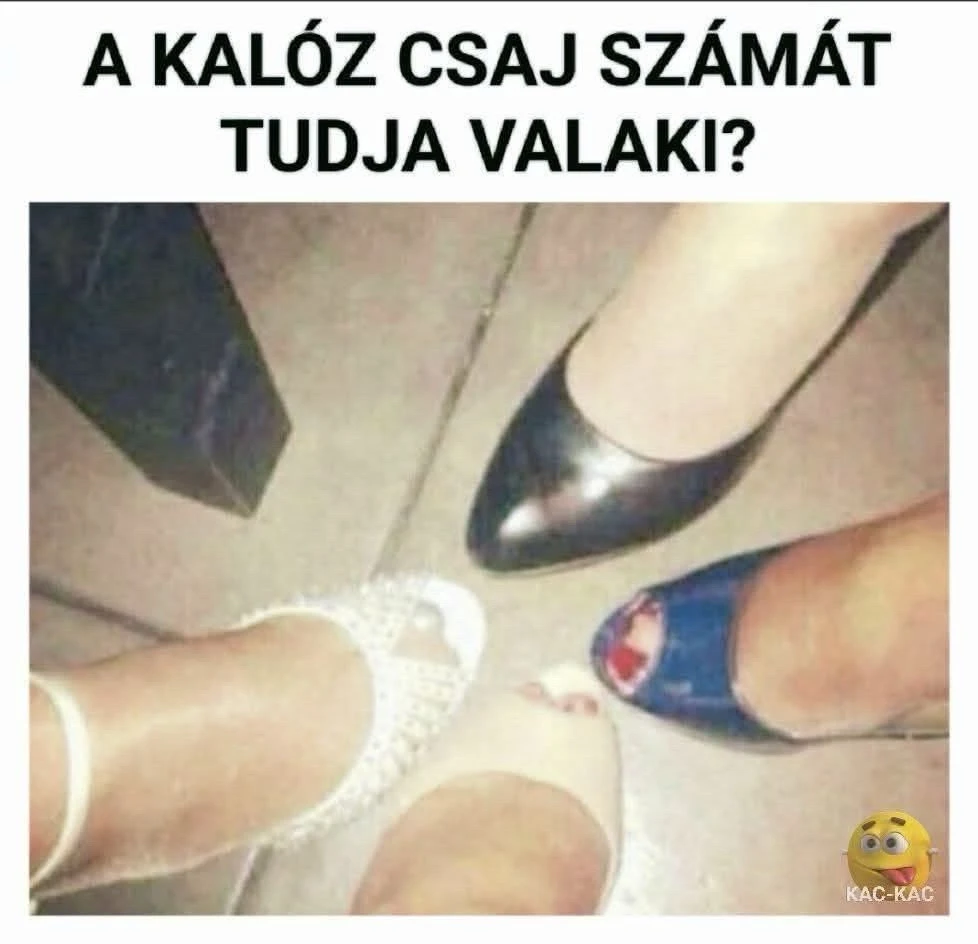 Ádám által feltöltött GIF